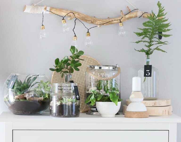 Návod na výrobu: Skleněná terária s rostlinami