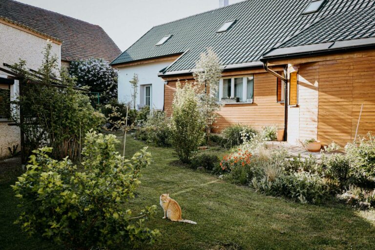 10 nejpopulárnějších fotoalb za červenec 2022