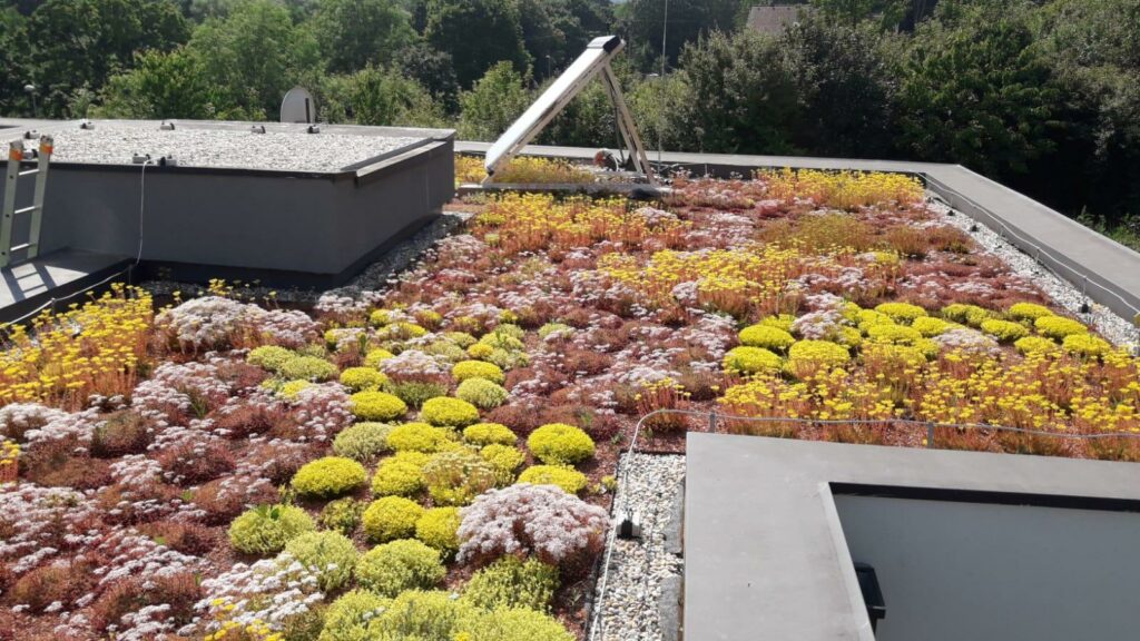 jak vybudovat zelenou střechu