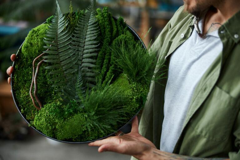 Mechový obraz jako jedinečný doplněk interiéru