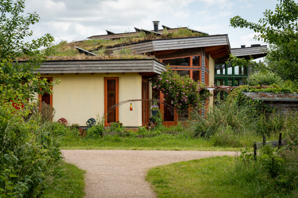 Náklady a údržba zelené střechy