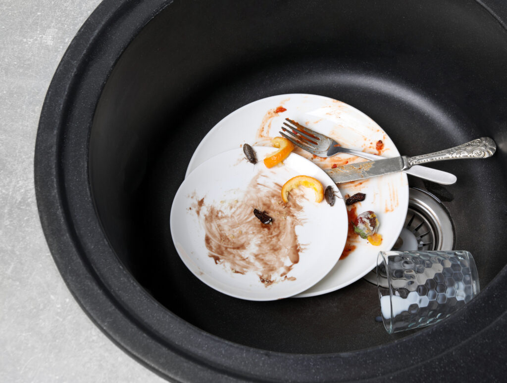 Jak se švábi dostanou do domácnosti?