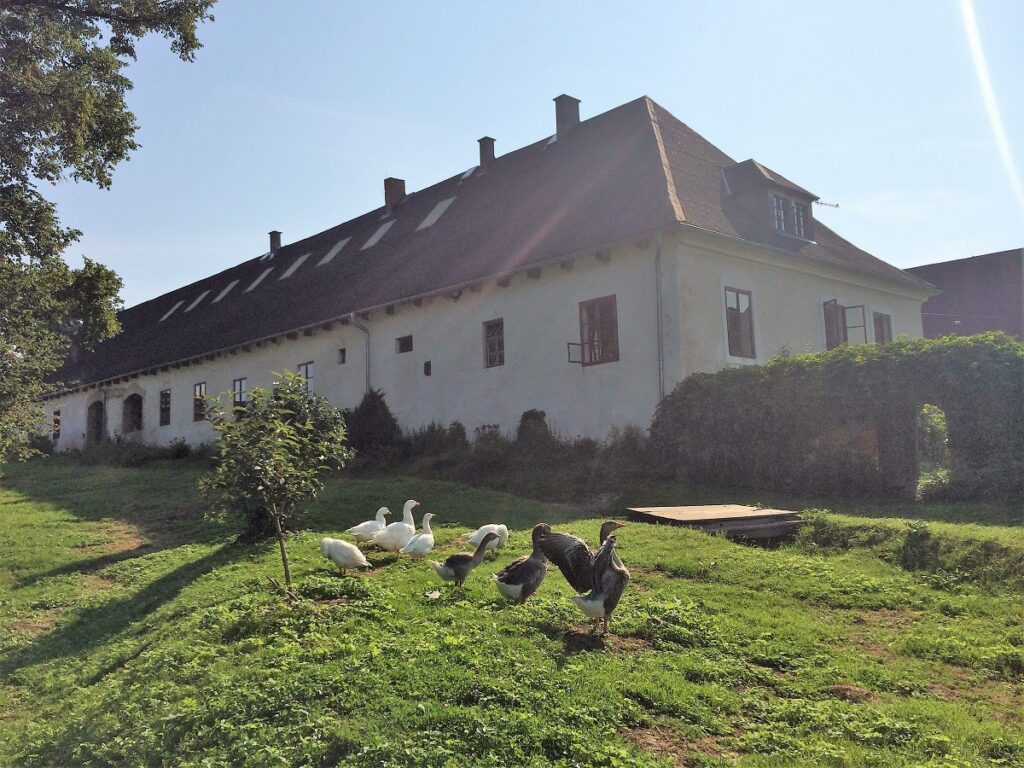 tmavý odstín Revivy