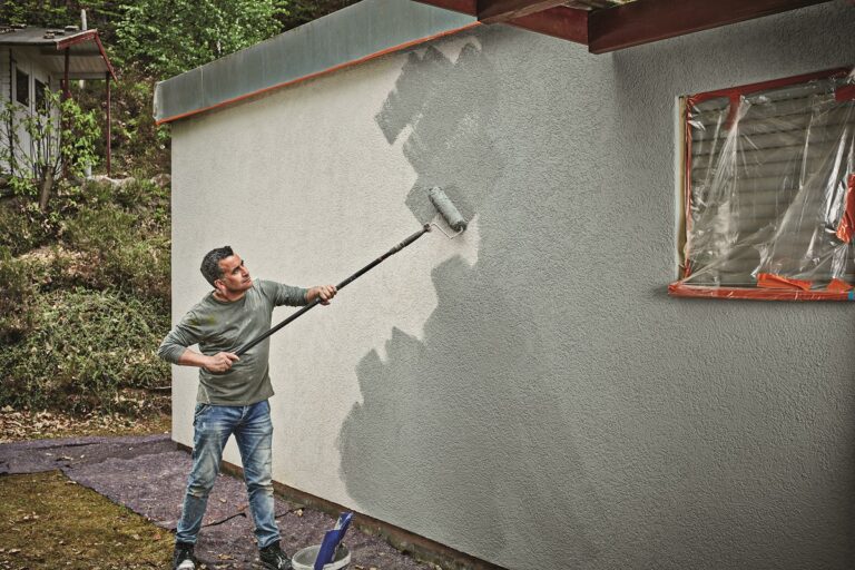 Jak bojovat proti plísním na fasádě